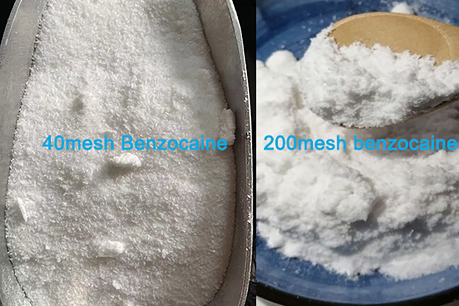 Benzocaine Powder